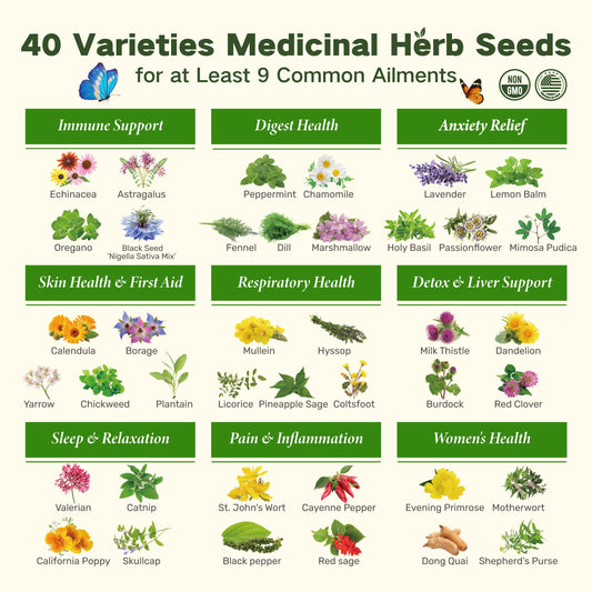 The Ancestral Apothecary Seed Chest - 40 Varieties of Medicinal Herb Seeds